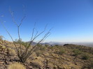 photo thumbnail #14