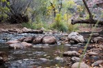 photo thumbnail #5