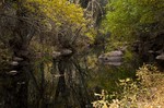 photo thumbnail #13