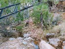 photo thumbnail #14