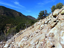photo thumbnail #6