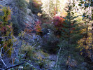 photo thumbnail #11