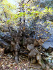 photo thumbnail #14