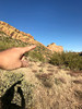photo thumbnail #2