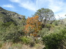 photo thumbnail #12