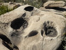 photo thumbnail #10