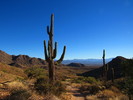 photo thumbnail #8