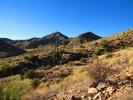 photo thumbnail #9