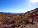 photo thumbnail #11