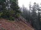 photo thumbnail #4