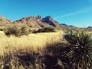 photo thumbnail #2
