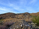 photo thumbnail #1