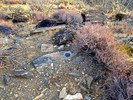 photo thumbnail #2