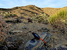 photo thumbnail #3