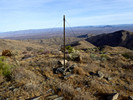 photo thumbnail #9