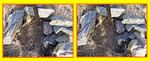 photo thumbnail #12