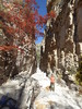 photo thumbnail #15