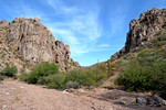 photo thumbnail #11