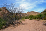 photo thumbnail #13