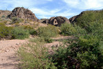 photo thumbnail #15