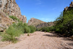 photo thumbnail #10