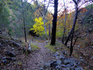 photo thumbnail #10