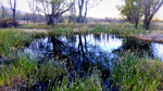 photo thumbnail #13