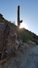 photo thumbnail #2