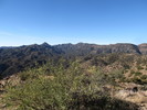 photo thumbnail #2