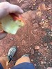 photo thumbnail #3