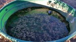 photo thumbnail #7