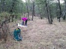 photo thumbnail #11