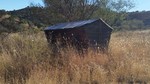 recent photo