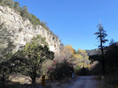 photo thumbnail #1