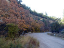 photo thumbnail #2
