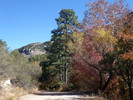 photo thumbnail #6