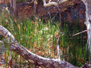 photo thumbnail #8