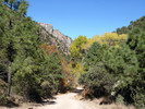 photo thumbnail #10