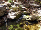 photo thumbnail #14