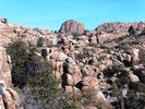 photo thumbnail #7