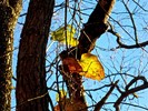 photo thumbnail #4