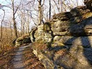 photo thumbnail #5