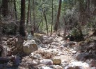 photo thumbnail #5