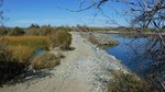 photo thumbnail #7