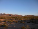 photo thumbnail #1