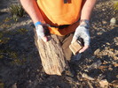 photo thumbnail #2