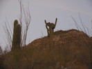 photo thumbnail #1