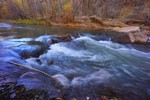 photo thumbnail #4
