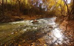 photo thumbnail #11