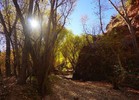 photo thumbnail #14